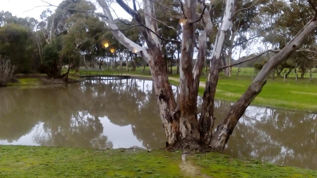 Magdala Motor Lodge & Lakeside Restaurant Stawell Luaran gambar